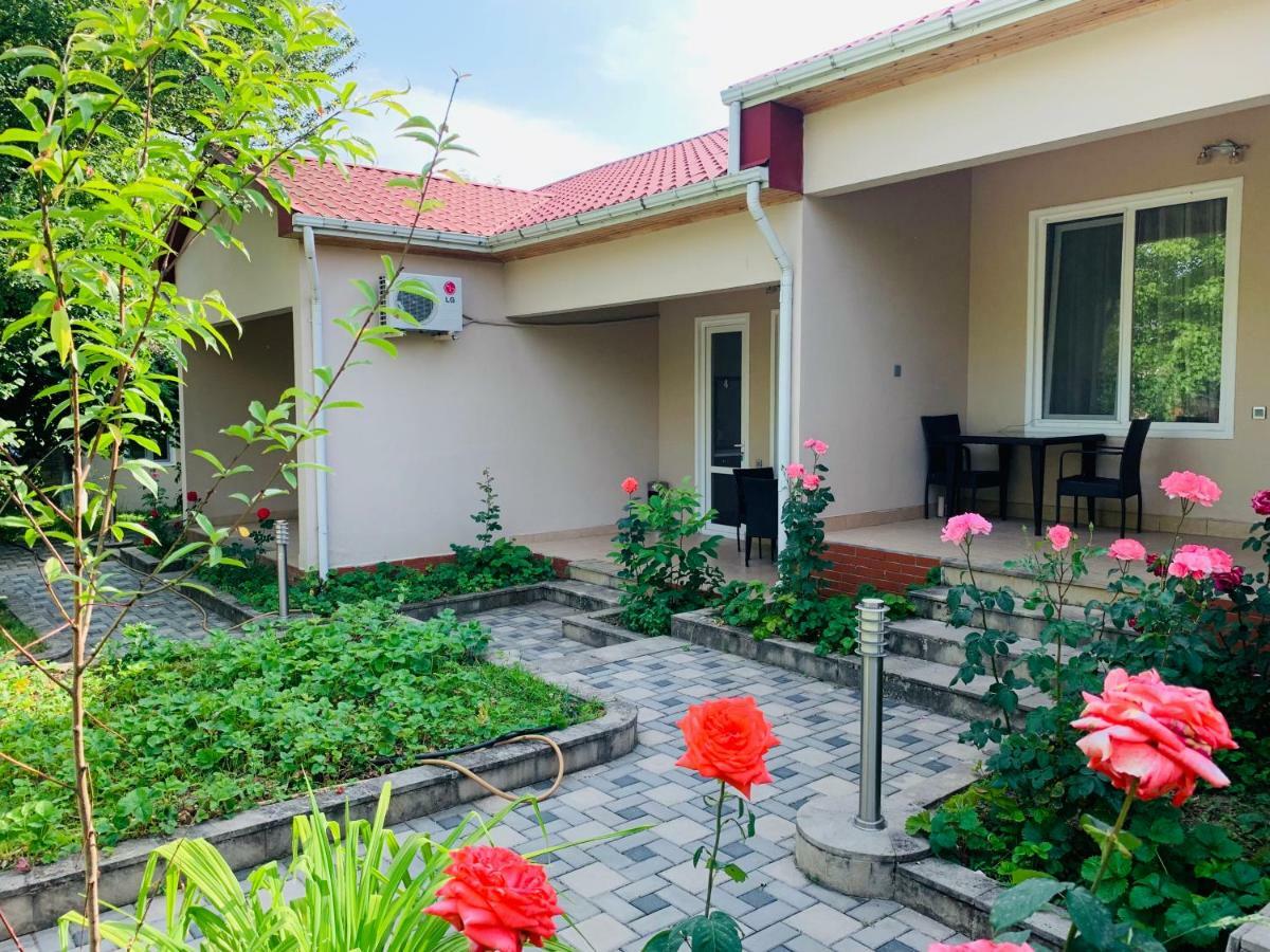 One Dom Cottage Gabala Exterior photo