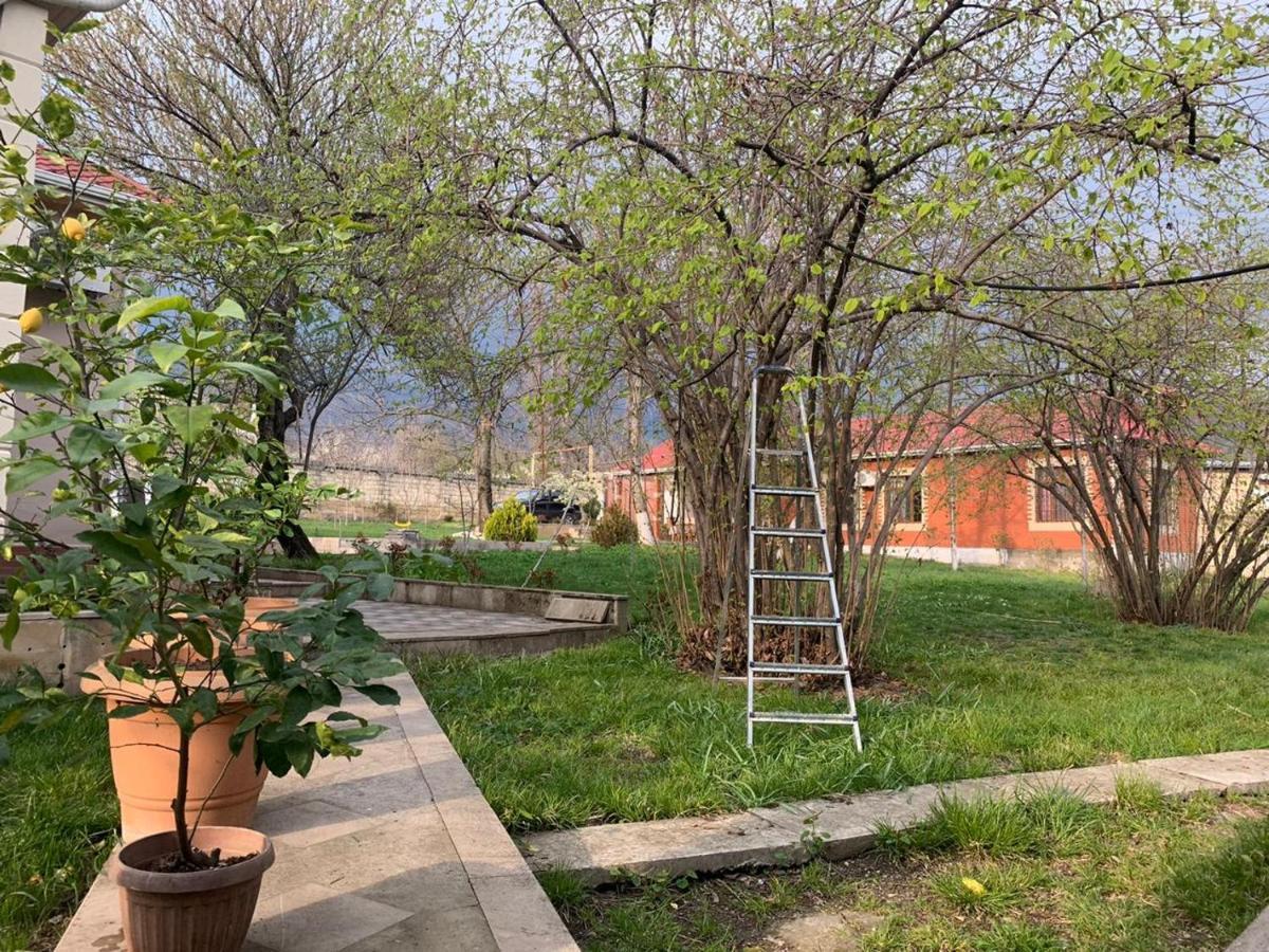 One Dom Cottage Gabala Exterior photo